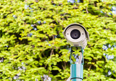 image ./gallery/thumbs/johnEllingsworth_opossum.jpg