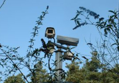 image ./gallery/thumbs/sarahKlockars_aquatic.jpg